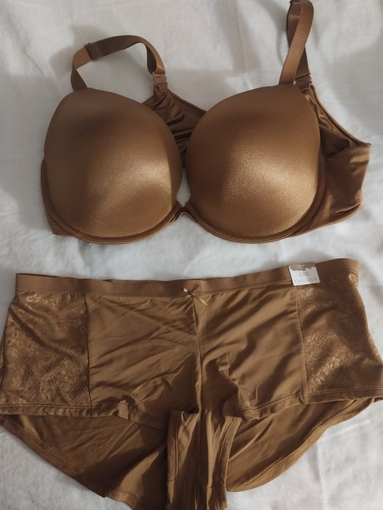 Cacique Other - Cacique Shimmery Brown T-Shirt Bra and Lace-Trim Boyshorts